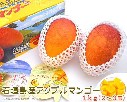 2箱限定！大人気　沖縄産マンゴー、島バナナ、グァバ白