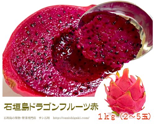 石垣島ドラゴンフルーツ赤 １ｋｇ（２～４個）送料無料 販売/サン石垣通販