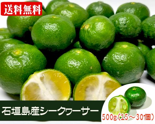 青切りシークワーサー果実（石垣島産）お試し５００ｇ 販売/サン石垣通販