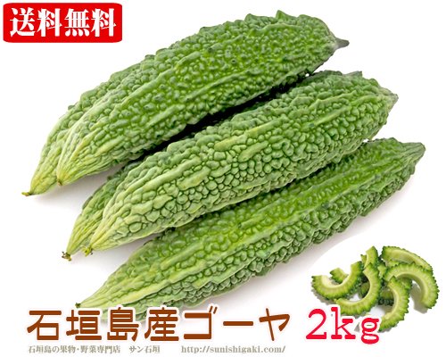 石垣島産ゴーヤー２ｋｇ(５～１２本）送料無料 販売/サン石垣通販