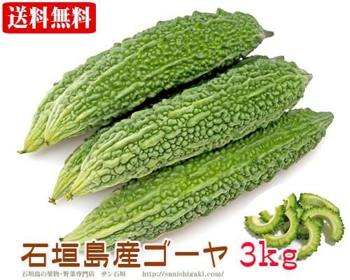 石垣島産ゴーヤ３ｋｇ ７ １５本 販売 送料無料 サン石垣通販