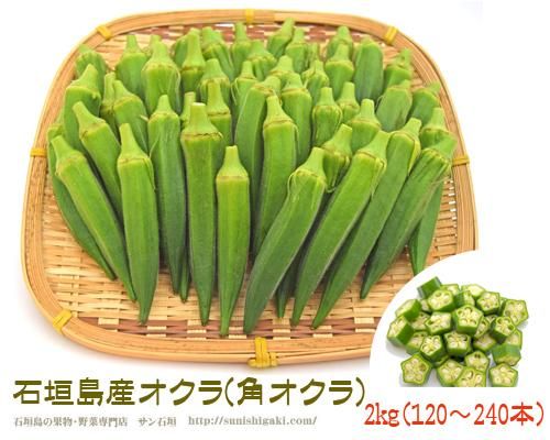 沖縄石垣島産角オクラ２ｋｇ販売 送料無料 サン石垣