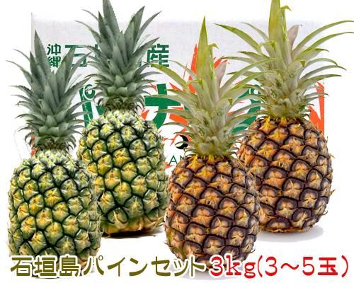 石垣島人気パインセット３ｋｇ スナックパイン ピーチパイン 販売 サン石垣通販