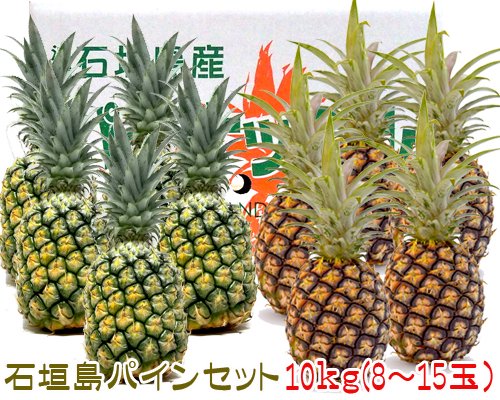 産地直送！石垣島パインセット１０ｋｇ「スナックパイン・ピーチパイン」販売/サン石垣通販