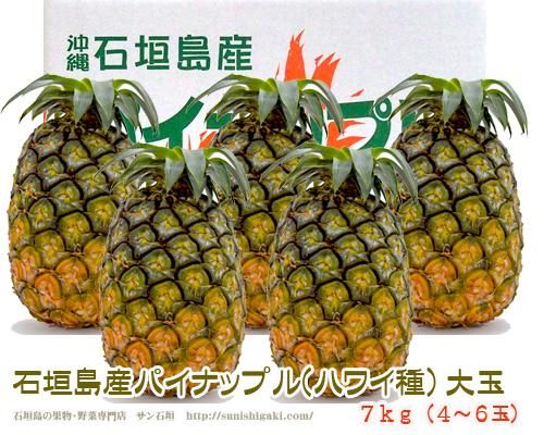 石垣島産パイン７ｋｇ ４ ６玉 送料無料 販売 サン石垣通販