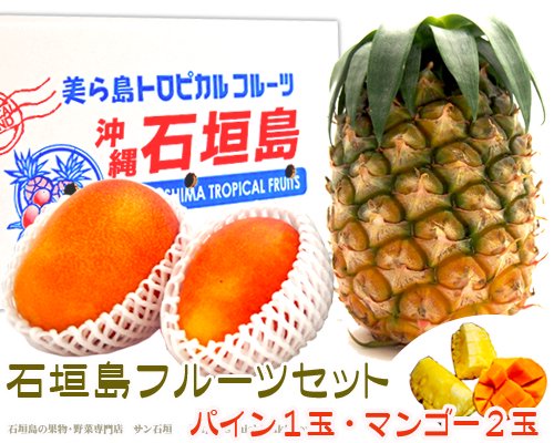 石垣島フルーツセット「パイナップル１玉・マンゴー２玉」販売/サン ...