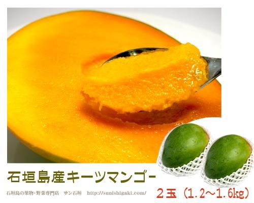 石垣島キーツマンゴー2玉 1 2 1 8kg 販売 サン石垣通販 石垣島キーツマンゴー2玉 1 2 1 8kg 販売 サン石垣通販