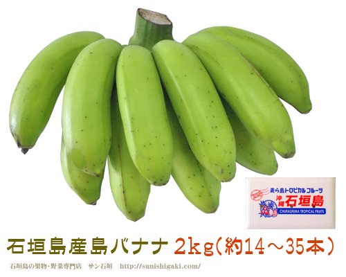 石垣島産バナナ専用問い合わせページ追加送料¥1000-頂きます