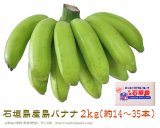 石垣島産島バナナ販売/サン石垣通販