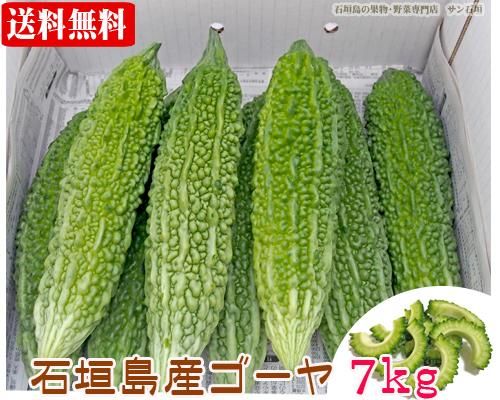 まとめ買い！石垣島産ゴーヤー７ｋｇ(21～40本）送料無料 販売/サン 