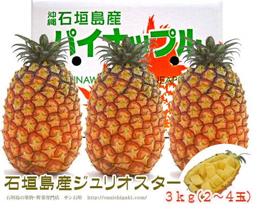 石垣島産ジュリオスターパイン３ｋｇ(2~4玉）販売/サン石垣通販