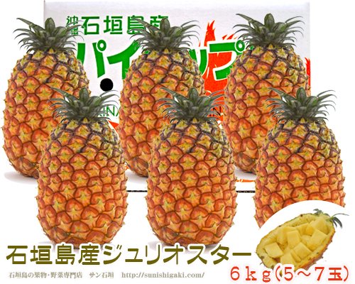 ジュリオスターパイン６ｋｇ(5～7玉）石垣島産 販売/サン石垣通販