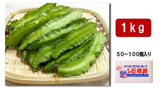 石垣島産四角豆 シカクマメ 1kg 販売ページ 送料無料 サン石垣通販 石垣島産四角豆 シカクマメ 1kg 販売ページ 送料無料 サン石垣通販
