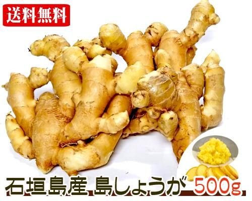 島しょうが 石垣島産 ５００ｇ 送料無料 販売ページ サン石垣通販