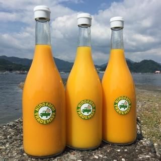 みかんジュース☆ HIKEの皮ごとみかんジュース / 912366243001 – satoseni online