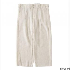 <img class='new_mark_img1' src='https://img.shop-pro.jp/img/new/icons1.gif' style='border:none;display:inline;margin:0px;padding:0px;width:auto;' />saby Х RAP PANTS TYPE TUCK BAGGY- Rayon Linen Mesh Fab - S-011891