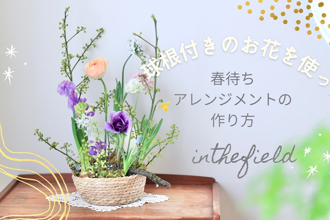 球根付きのお花を使った「春待ちアレンジ」レクチャー動画付花材