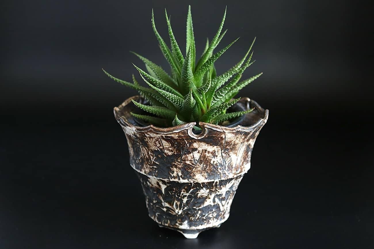 マイケル・ケリー | 植木鉢 #8 - WALL -CRAFT & ANTIQUE-