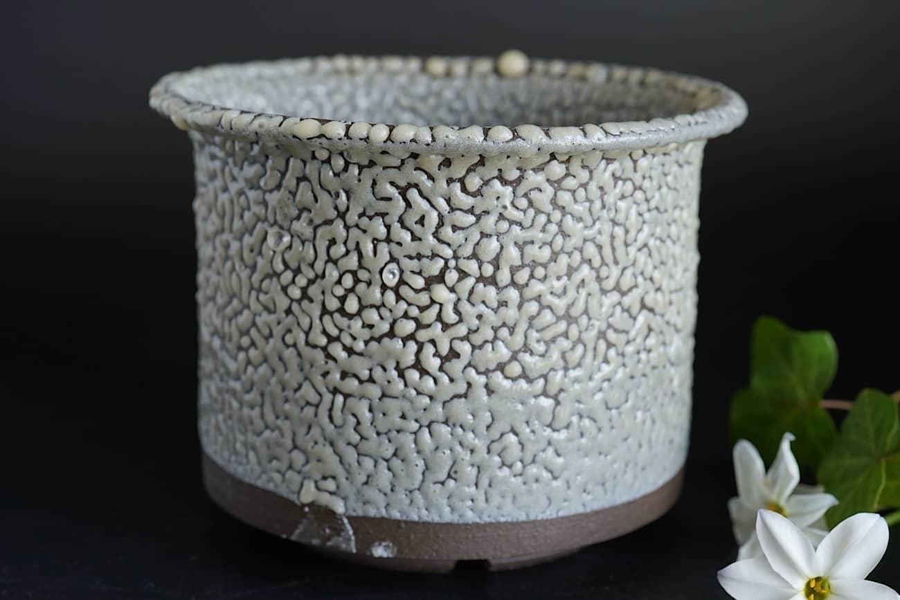 白BUTU鉢 | dairoku pottery - WALL -CRAFT & ANTIQUE-