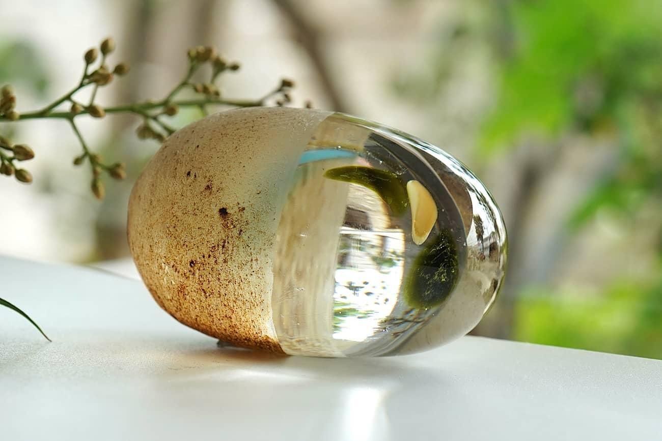 境田亜希 - WALL -CRAFT & ANTIQUE-
