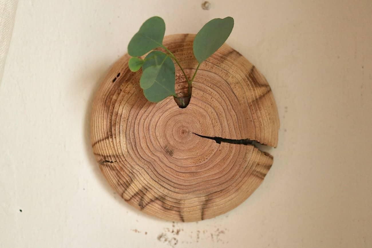 壁掛け花器 中矢嘉貴 壁掛け花器 | スギ - WALL -CRAFT & ANTIQUE-