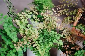 ʧȯorŹƬϤ 󥿥  4