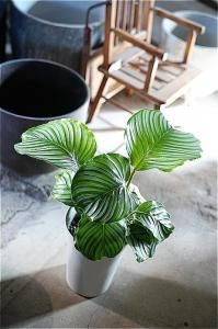 <img class='new_mark_img1' src='https://img.shop-pro.jp/img/new/icons5.gif' style='border:none;display:inline;margin:0px;padding:0px;width:auto;' />ʧȯorŹƬϤ ƥ ӥեꥢ 7󥰥ݥå