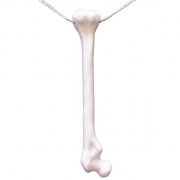 ALEX GARNETT Femur Bone Necklace