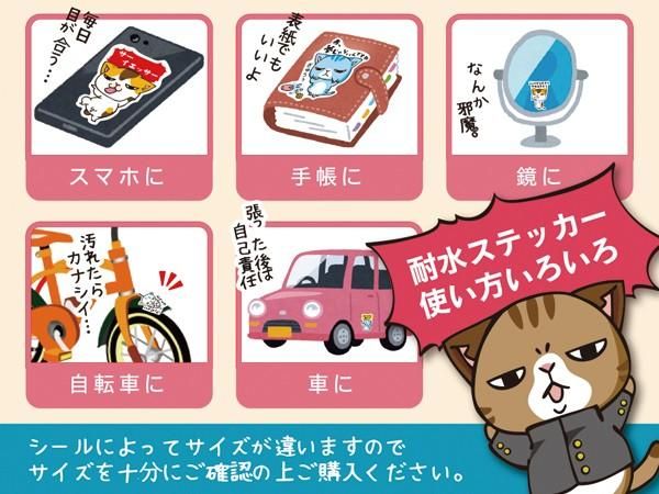 猫ステッカー 馬鹿め それは残像だ ネコ キャット シール 猫グッズと姫雑貨のお店 オトメ日和 猫ステッカー 馬鹿め それは残像だ ネコ キャット シール 猫グッズと姫雑貨のお店 オトメ日和
