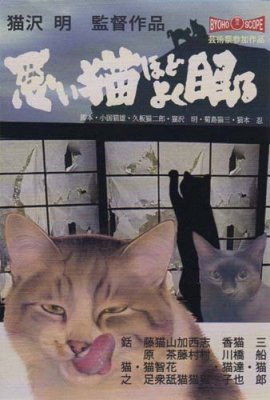 ポストカードno422 悪い猫ほどよく眠る 目羅健嗣 猫イラスト 猫グッズと姫雑貨のお店 オトメ日和