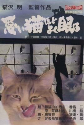 ポストカードno422 悪い猫ほどよく眠る 目羅健嗣 猫イラスト 猫グッズと姫雑貨のお店 オトメ日和 ポストカードno422 悪い猫ほどよく眠る 目羅健嗣 猫イラスト 猫グッズと姫雑貨のお店 オトメ日和