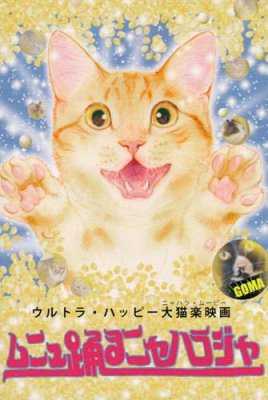 ポストカードNo429・「ムニュ踊るニャハラジャ」 目羅健嗣 猫イラスト - 猫グッズと姫雑貨のお店 オトメ日和