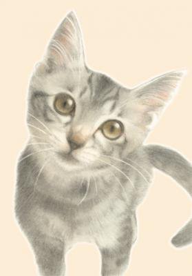 コレクション かわいい 猫 和風 イラスト 最高の画像壁紙日本aad