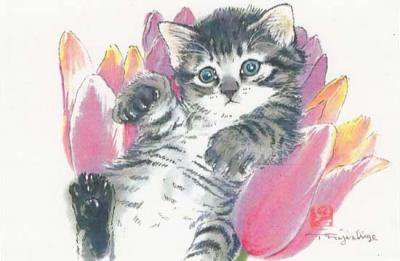 藤重日生 猫絵カード チューリップと猫 ポストカードサイズ Fuji1001 猫グッズと姫雑貨のお店 オトメ日和