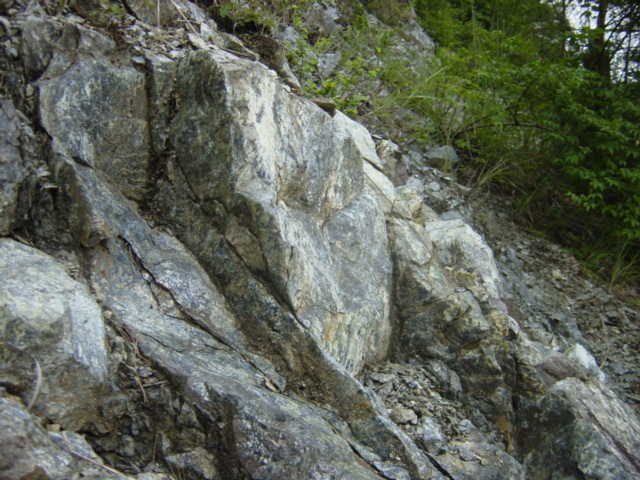 蛇紋岩の岩石