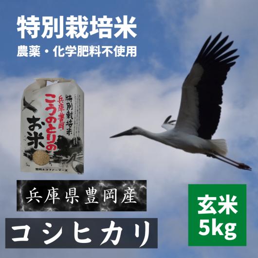 令和5年産新米 コウノトリのお米 豊岡産無農薬コシヒカリ 玄米 令和5年産新米 コウノトリのお米 豊岡産無農薬コシヒカリ 玄米