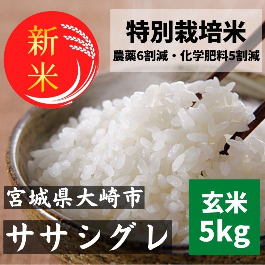 宮城県産 ササシグレ 玄米5kg | 特別栽培米 ササニシキの父 - 無農薬