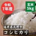 ĤΥҥ 5kgʡ温Ծ徱϶ 7ǯ