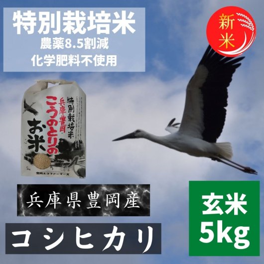 令和4年産新米 根岸さんのお米 豊岡産減農薬コシヒカリ 玄米5kg - 無