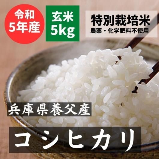 養父産コシヒカリ 特別栽培米（農薬・化学肥料不使用） 令和5年新米