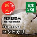石橋さんのお米　魚沼産コシヒカリ 玄米5kg　令和4年産新米　特別栽培米
