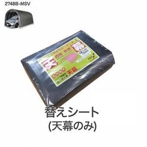 ѥ׼ָˡ2748B-MSVŷ롿ؤȡ