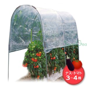トマトの屋根　NT-18【組立セット】