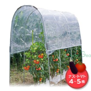 トマトの屋根　NT-27【組立セット】（１条植え・コンパクト）