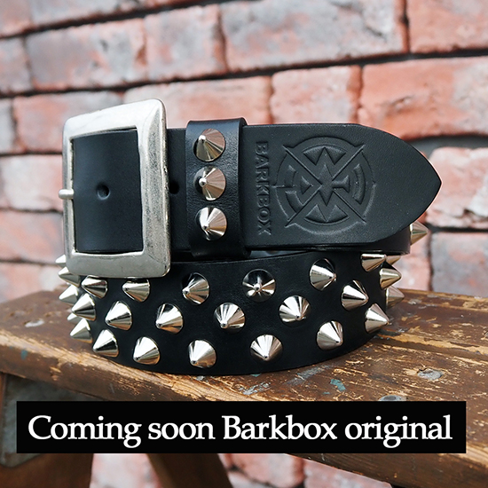 BARKBOX Leather Belt (Barkbox Conical Studs)