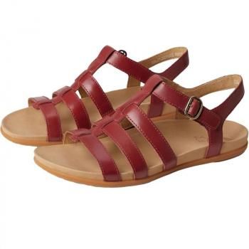 <img class='new_mark_img1' src='https://img.shop-pro.jp/img/new/icons15.gif' style='border:none;display:inline;margin:0px;padding:0px;width:auto;' />ڥ󥹥˥dansko JANICECayenne Calf []