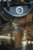 【送料無料 〜2023年2月28日まで】Petani coffee シングルオリジン100g×4種 焙煎所おまかせセット