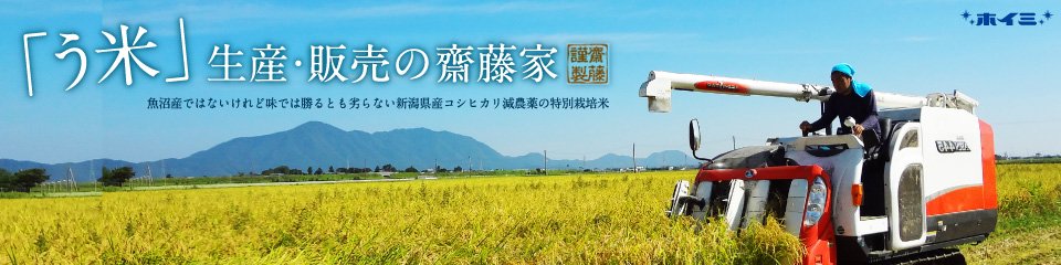 新潟県産特別栽培米コシヒカリ・齋藤家のお米－【う米】－