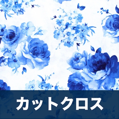 åȥ Timeless Treasures Bluebird C8448-WHT Medium Flowers White