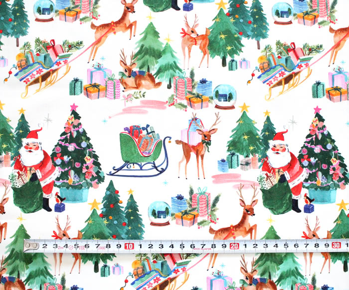 Holy すくわ Snowy Reunion.*』シーグラスアート クリスマス
